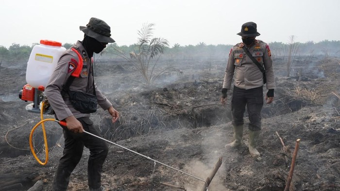 Cairan X-Fire Efektif Padamkan Karhutla Riau: Api dan Asap Tak Muncul Lagi