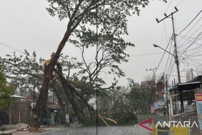 Hujan Guyur Banjarbaru Kalsel Usai Kemarau Panjang hingga Pohon Tumbang