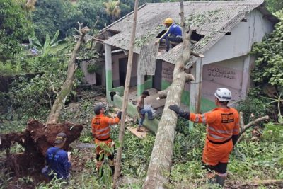 Tertimpa Pohon Tumbang, Rumah Warga di Bogor Rusak