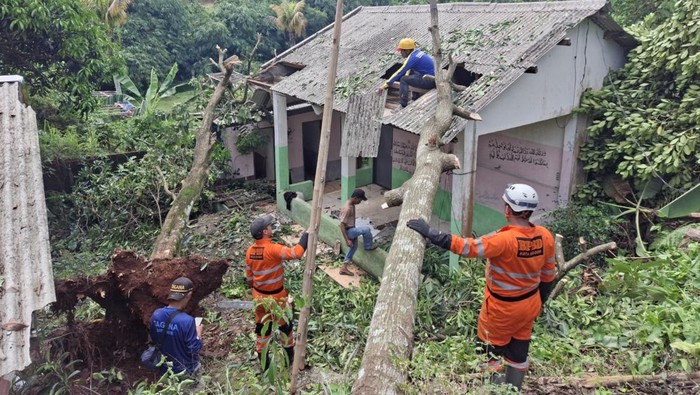 Tertimpa Pohon Tumbang, Rumah Warga di Bogor Rusak