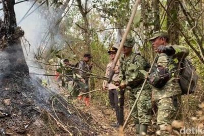 Karhutla di Gunung Arjun-Welirang Padam, Polisi Selidik Penyebab Kebakaran