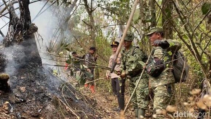 tim-gabungan-saat-melakukan-pemadaman-dan-pengecekan-sisa-kebakaran-di-lereng-gunung-arjuno-1792913880570_169