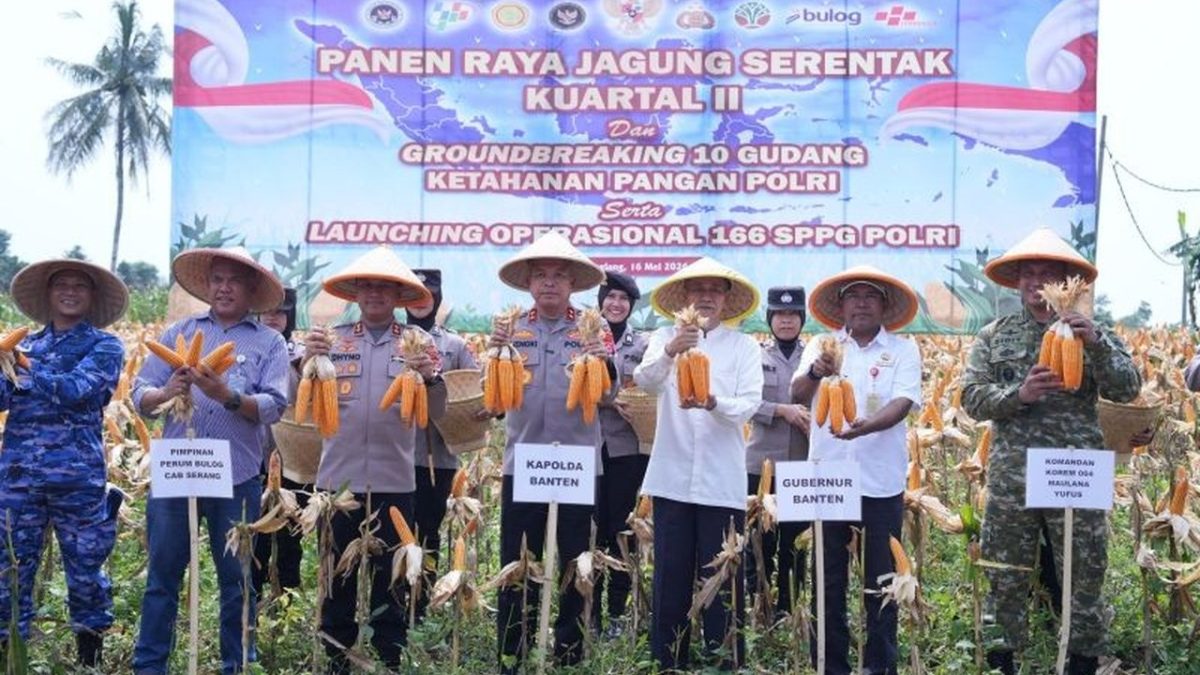 020111.560-polda-banten-panen-jagung-295-ton-perkuat-ketahanan-pangan-nasional-menuju-indonesia-emas-2045-1