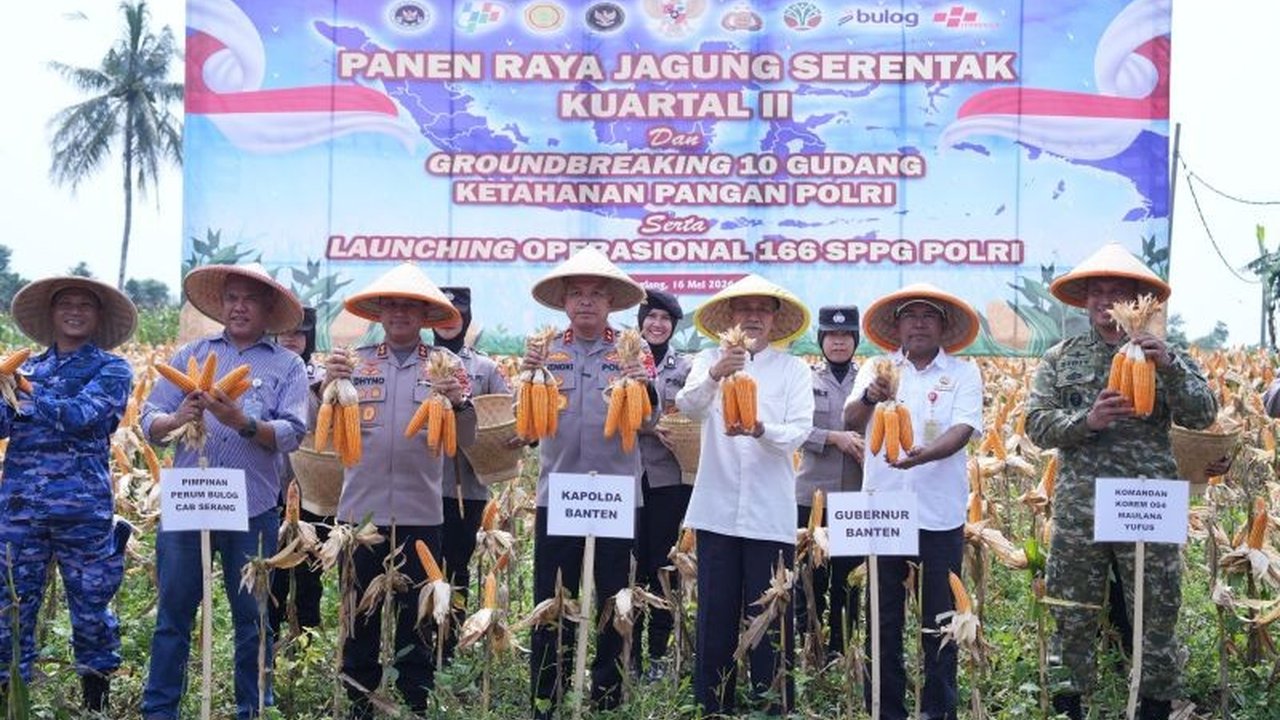 Polda Banten Panen Jagung 29,5 Ton, Perkuat Ketahanan Pangan Nasional Menuju Indonesia Emas 2045