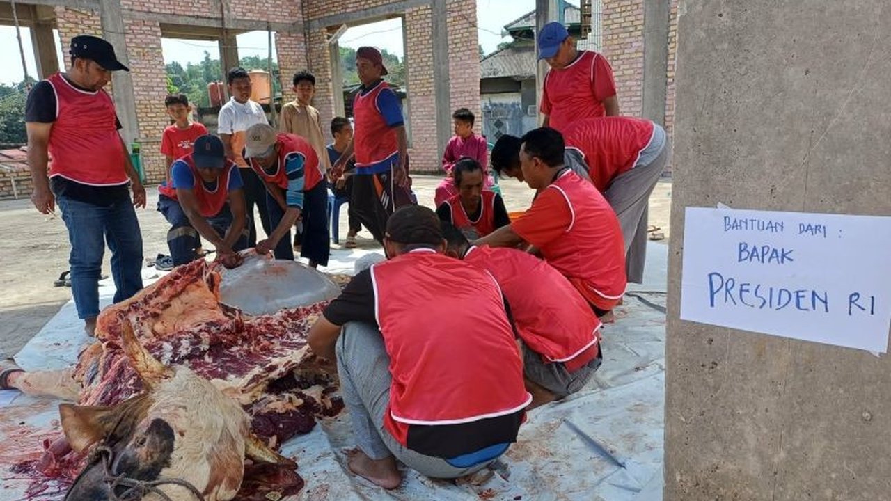 Daging Kurban Presiden Prabowo Disalurkan ke 450 KK di Tanjungpinang