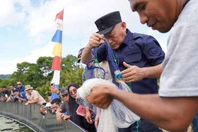 Special Plan: Pemprov Maluku Utara Sukses Panen 1,5 Ton Udang Vaname, Genjot PAD dan Kesejahteraan Nelayan