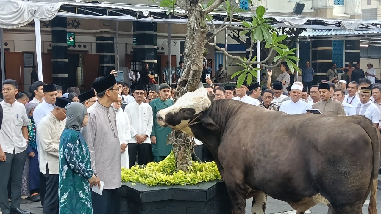 Menkeu Purbaya Kurban 2 Ekor Sapi Pakai Uang Sendiri, Bukan dari APBN