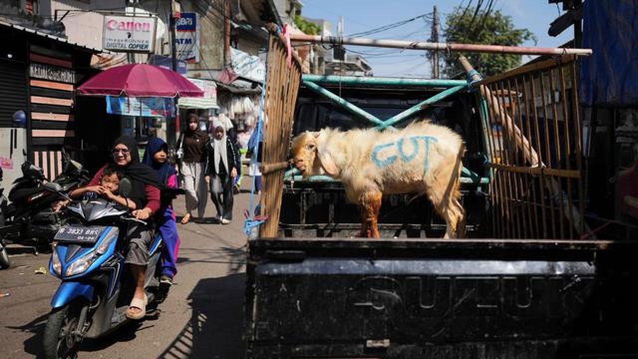 Aturan Idul Adha di Jakarta: Darah dan Jeroan Kurban Tak Boleh Dibuang ke Selokan