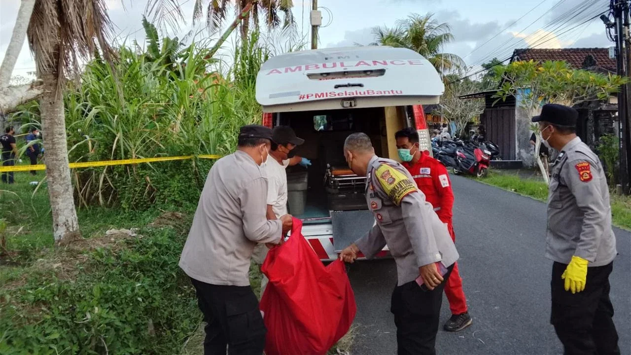 Mayat Pria Tanpa Identitas Ditemukan Terkubur di Areal Persawahan Bali, Tato di Tubuhnya Jadi Petunjuk Utama