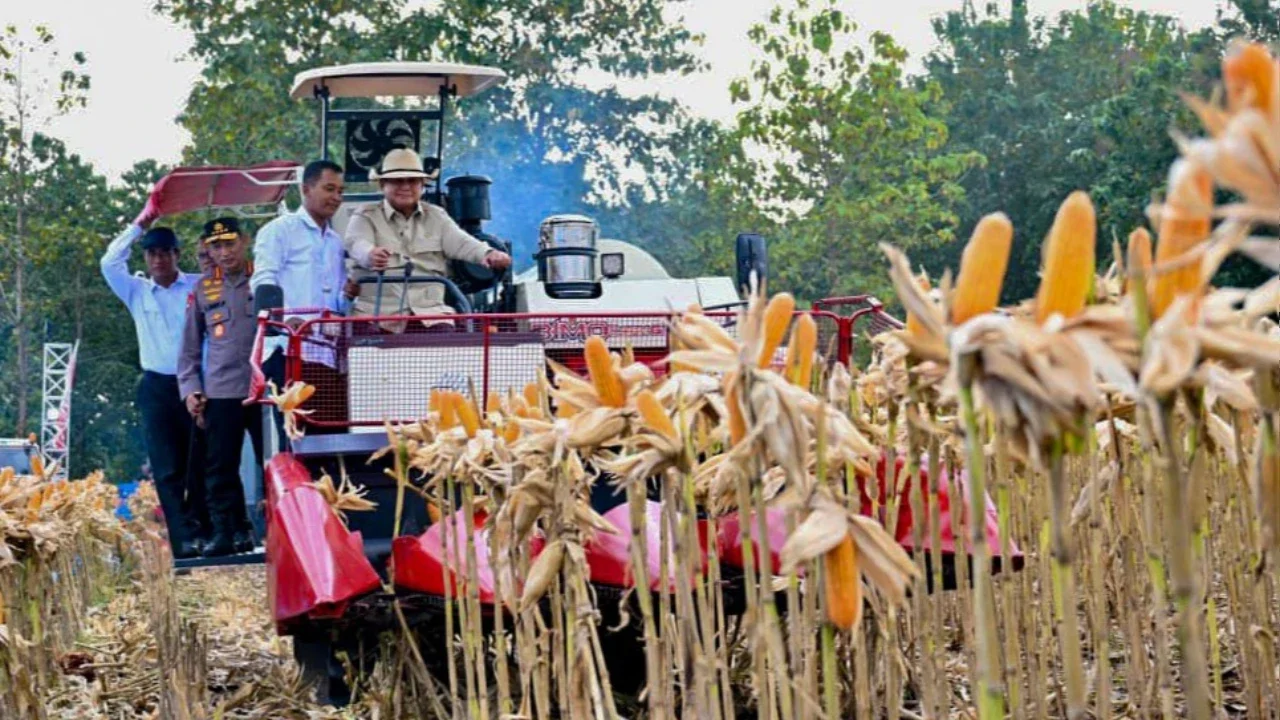 FOTO: Prabowo Panen Jagung dan Luncurkan Operasional Ketahanan Pangan
