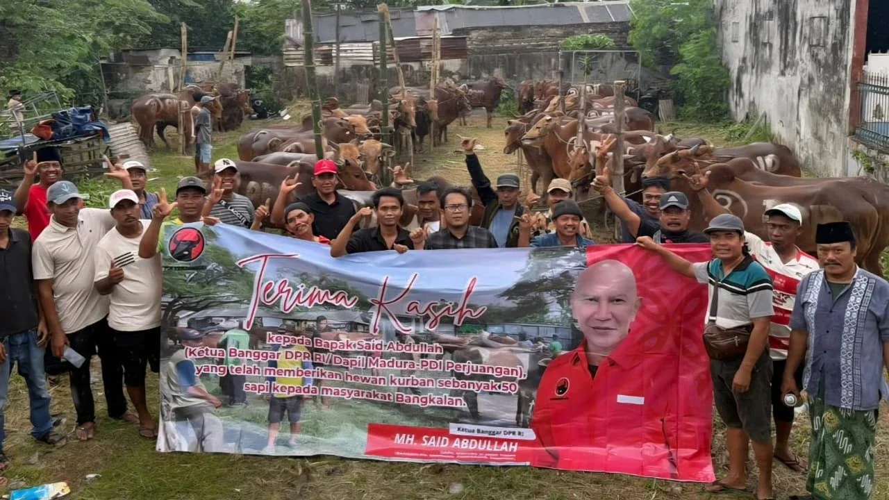 Latest Update: Genjot Gotong Royong, PDIP Bagikan 485 Sapi Kurban ke Pondok Pesantren hingga Panti Asuhan di Jatim