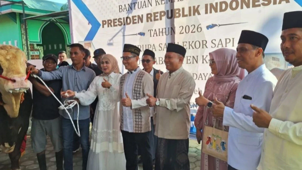 Masjid Al Hidayah Kendal Terima Bantuan Sapi Kurban Presiden Bobot 1,1 Ton