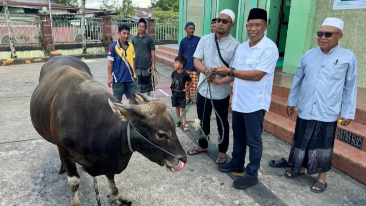Historic Moment: Tragis, Tukang Jagal Hewan Kurban Meninggal Diduga Kena Serangan Jantung Saat Bertugas