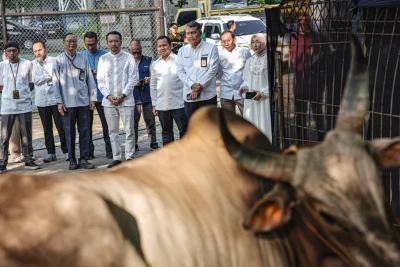 Special Plan: Pertamina Patra Niaga Salurkan 2.031 Hewan Kurban Pada Iduladha 1447 H, Disebar ke Berbagai Wilayah