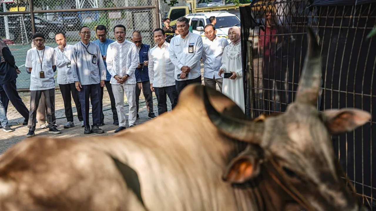 Pertamina Patra Niaga Salurkan 2.031 Hewan Kurban Pada Iduladha 1447 H, Disebar ke Berbagai Wilayah