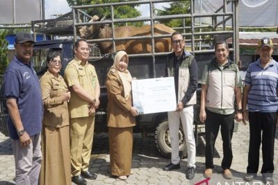 Latest Program: Bandara Syamsudin Noor Bagikan Protein Hewani, Tingkatkan Gizi Warga Sekitar Lewat Program TJSL