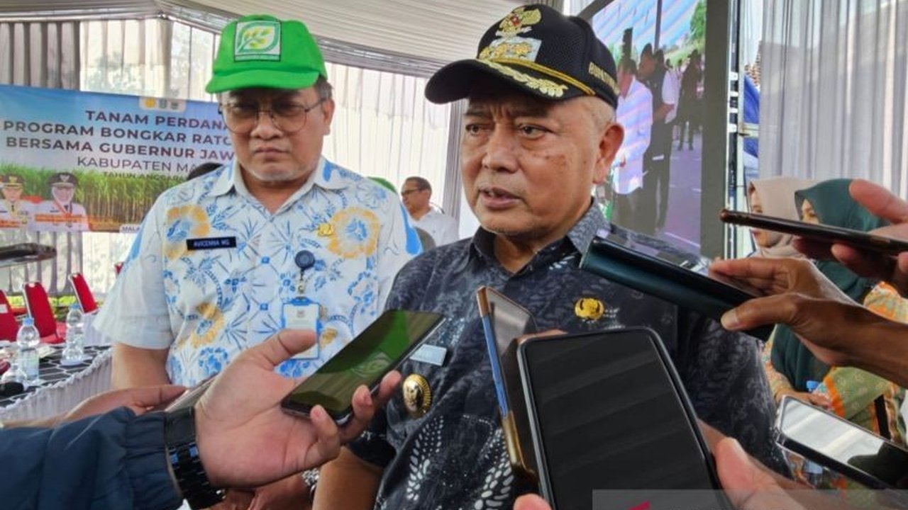 Pemkab Malang Targetkan 7.500 Hektare Bongkar Ratoon Tebu Malang, Dukung Swasembada Gula Nasional