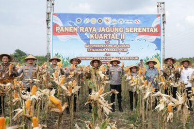 Special Plan: Produksi Padi Jateng Capai 4,16 Juta Ton GKG, Pemprov Optimis Lampaui Target Tahunan