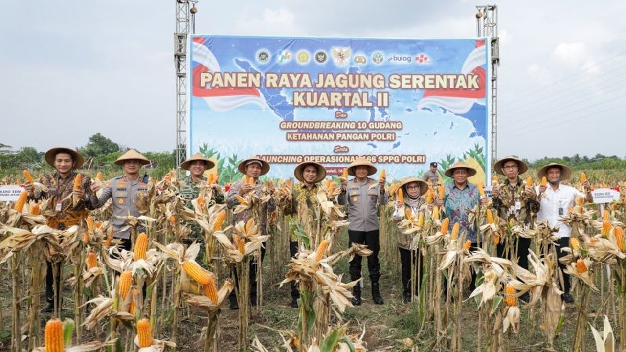 Produksi Padi Jateng Capai 4,16 Juta Ton GKG, Pemprov Optimis Lampaui Target Tahunan