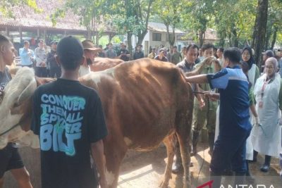 New Policy: DP3 Sleman Optimistis Pasokan Hewan Kurban Terpenuhi Jelang Idul Adha 2026
