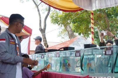 Visit Agenda: Ratusan Peserta Meriahkan Kontes Ikan Hias Banjarmasin Wali Kota Cup 2026