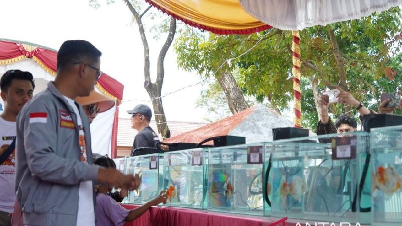 Ratusan Peserta Meriahkan Kontes Ikan Hias Banjarmasin Wali Kota Cup 2026