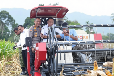 New Policy: Petani OKU Selatan Panen Raya Jagung 30 Ton, Perkuat Ketahanan Pangan Nasional