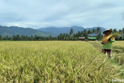 Latest Program: BI Perkuat Ketahanan Pangan Sulut Melalui Pemberdayaan Petani dan UMKM