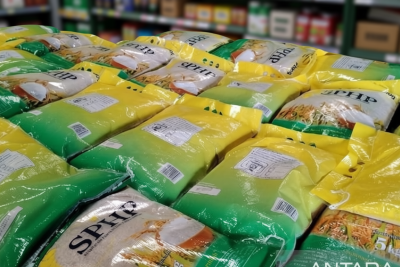 New Policy: Kementan Optimistis Produksi Beras Nasional Terjaga Hadapi Ancaman El Nino: Strategi Antisipasi Kekeringan Ekstrem