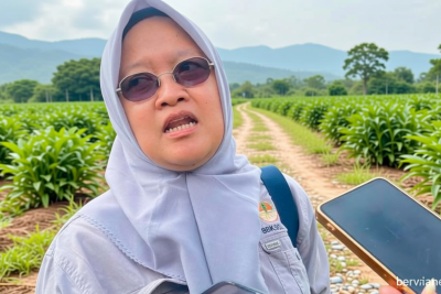 Latest Program: BBKSDA Jabar Perketat Antisipasi Karhutla Garut di Musim Kemarau 2026