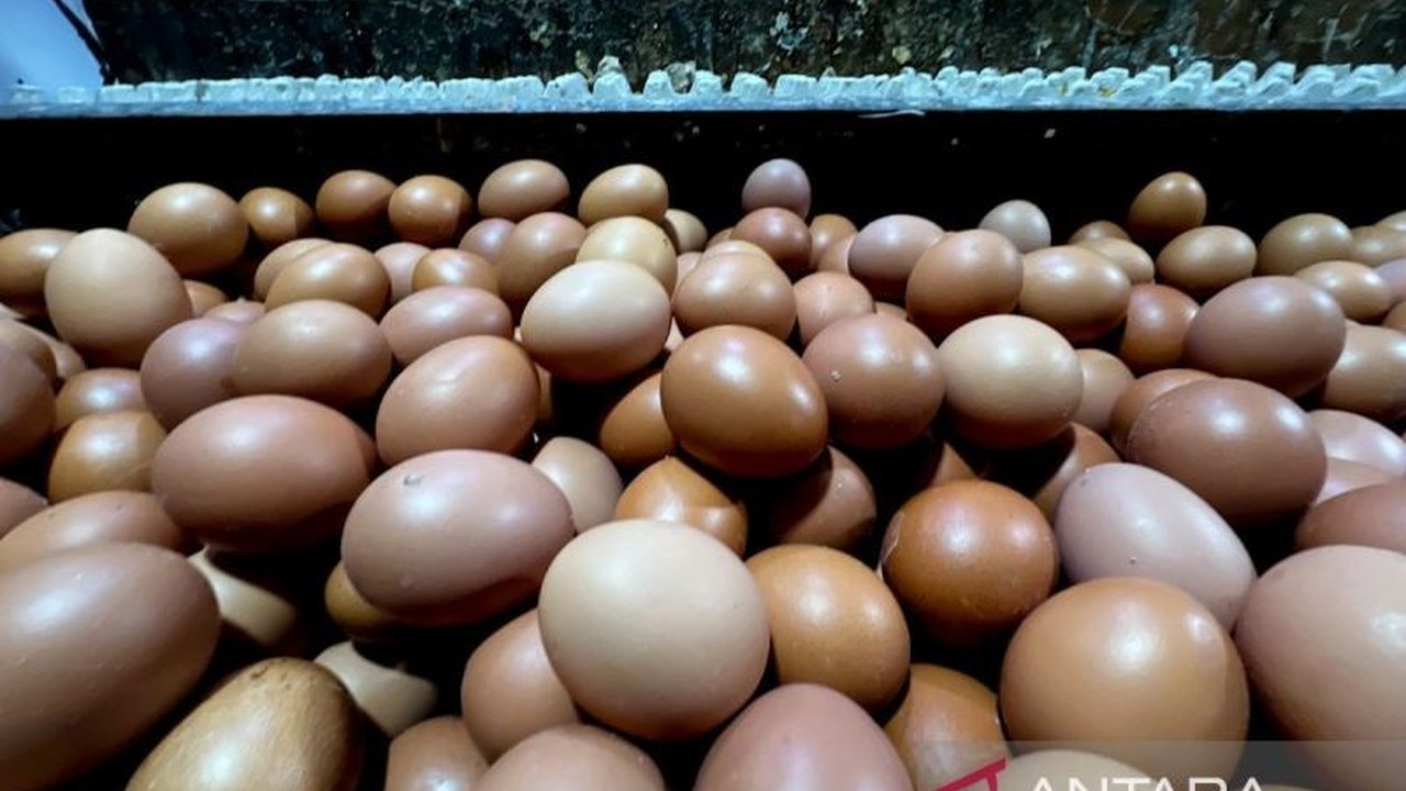 PIHPS Rilis Data Terkini: Harga Pangan Nasional, Telur Ayam Capai Rp30.100/Kg dan Bawang Merah Rp55.450/Kg