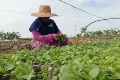 Main Agenda: Setor Cukai Rp221 Triliun, Industri Hasil Tembakau Butuh Dukungan untuk Menjaga Ekosistem