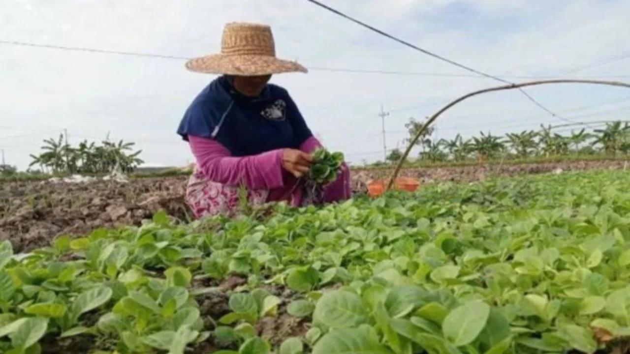 Main Agenda: Setor Cukai Rp221 Triliun, Industri Hasil Tembakau Butuh Dukungan untuk Menjaga Ekosistem