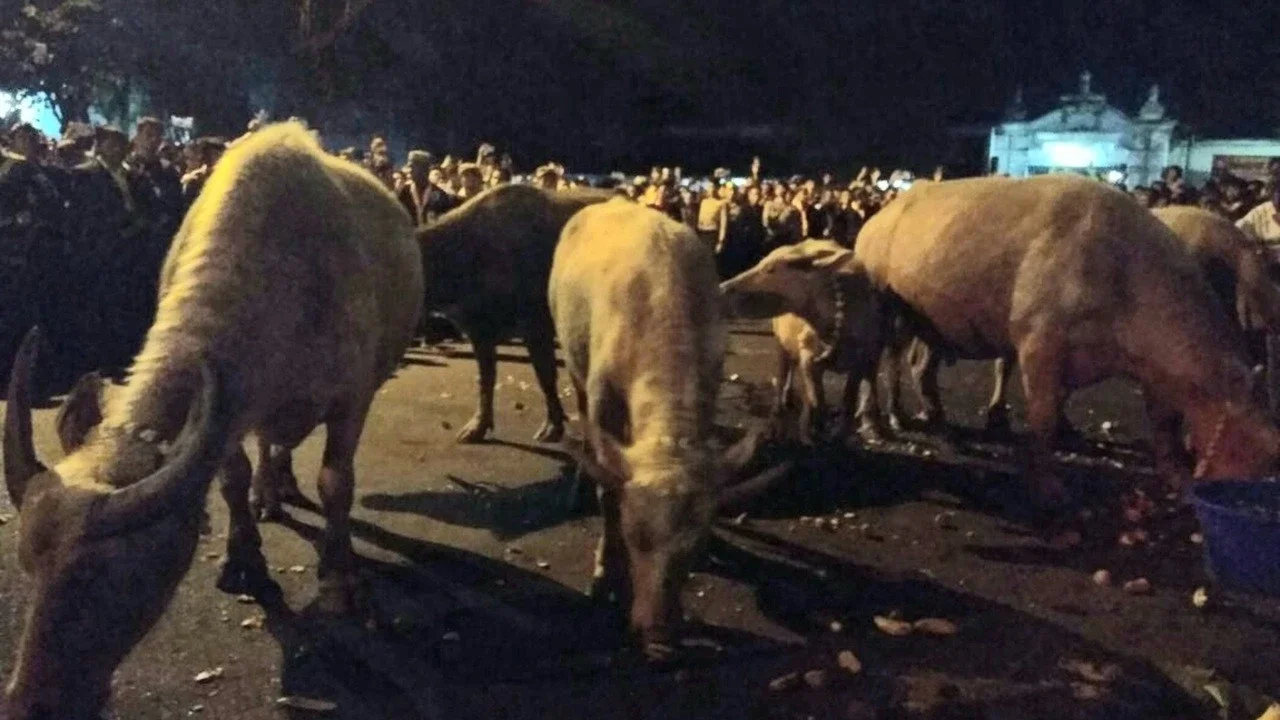Kubu PB XIV Hangabehi Upayakan Kirab 1 Suro Berlangsung Lancar di Tengah Dualisme