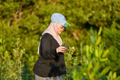 Key Strategy: FOTO: Anak Muda Aceh Tanam Mangrove untuk Perkuat Ekosistem Pesisir
