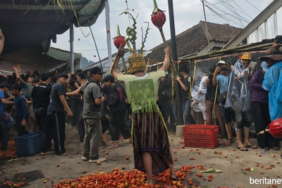 New Policy: Perang Tomat Lembang: Dari Protes Petani Hingga Simbol Syukur dan Daya Tarik Wisata Budaya