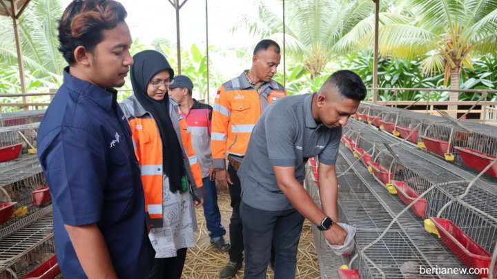 Special Plan: Timbunan Sampah Kelapa 60 Ton Diolah Jadi Pakan Ternak, Biaya Peternak Turun 60 Persen