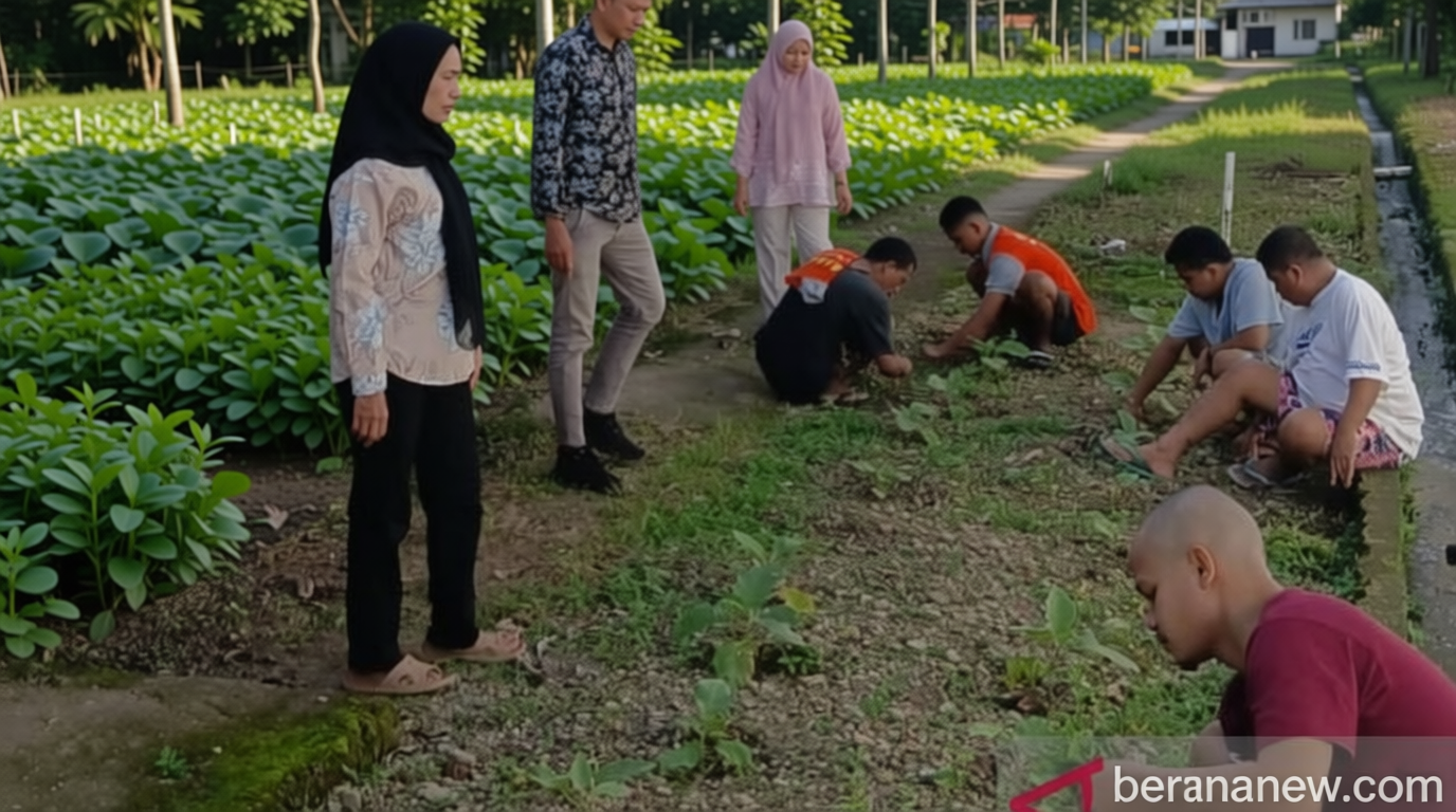 Budidaya Terong Rutan Ambon: Bekal Kemandirian WBP untuk Kembali ke Masyarakat