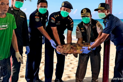 Key Strategy: Ekspor Ikan Natuna Mampu Bersaing di Pasar Global, Buktikan Kualitas Unggul