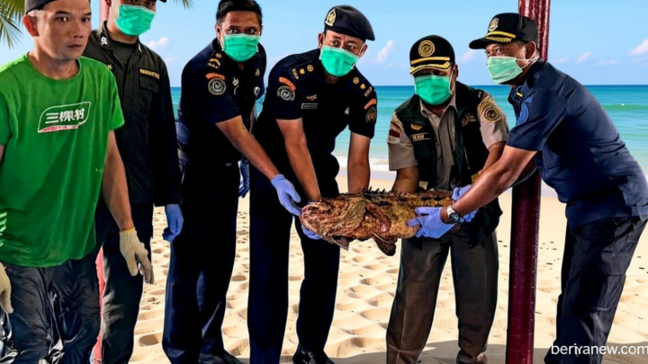 Ekspor Ikan Natuna Mampu Bersaing di Pasar Global, Buktikan Kualitas Unggul
