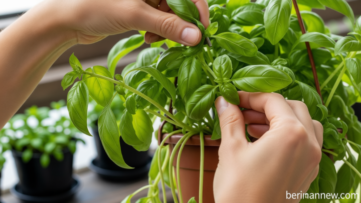 7 Tanaman yang Bisa Membantu Mengurangi Ulat pada Kebun Sayur, Lebih Sehat Tanpa Pestisida