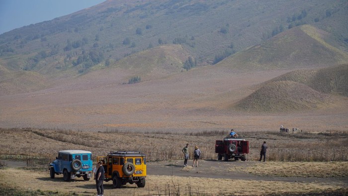 kebakaran-tnbts-akses-wisata-bromo-dari-jemplang-ditutup-1789137440958_169