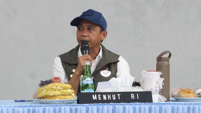 Kemenhut Bekukan Izin 26 Perusahaan Terkait Karhutla